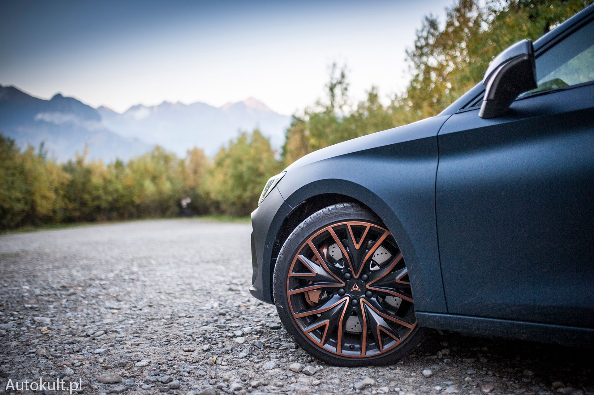 Cupra Leon ST 310 4Drive (2022)