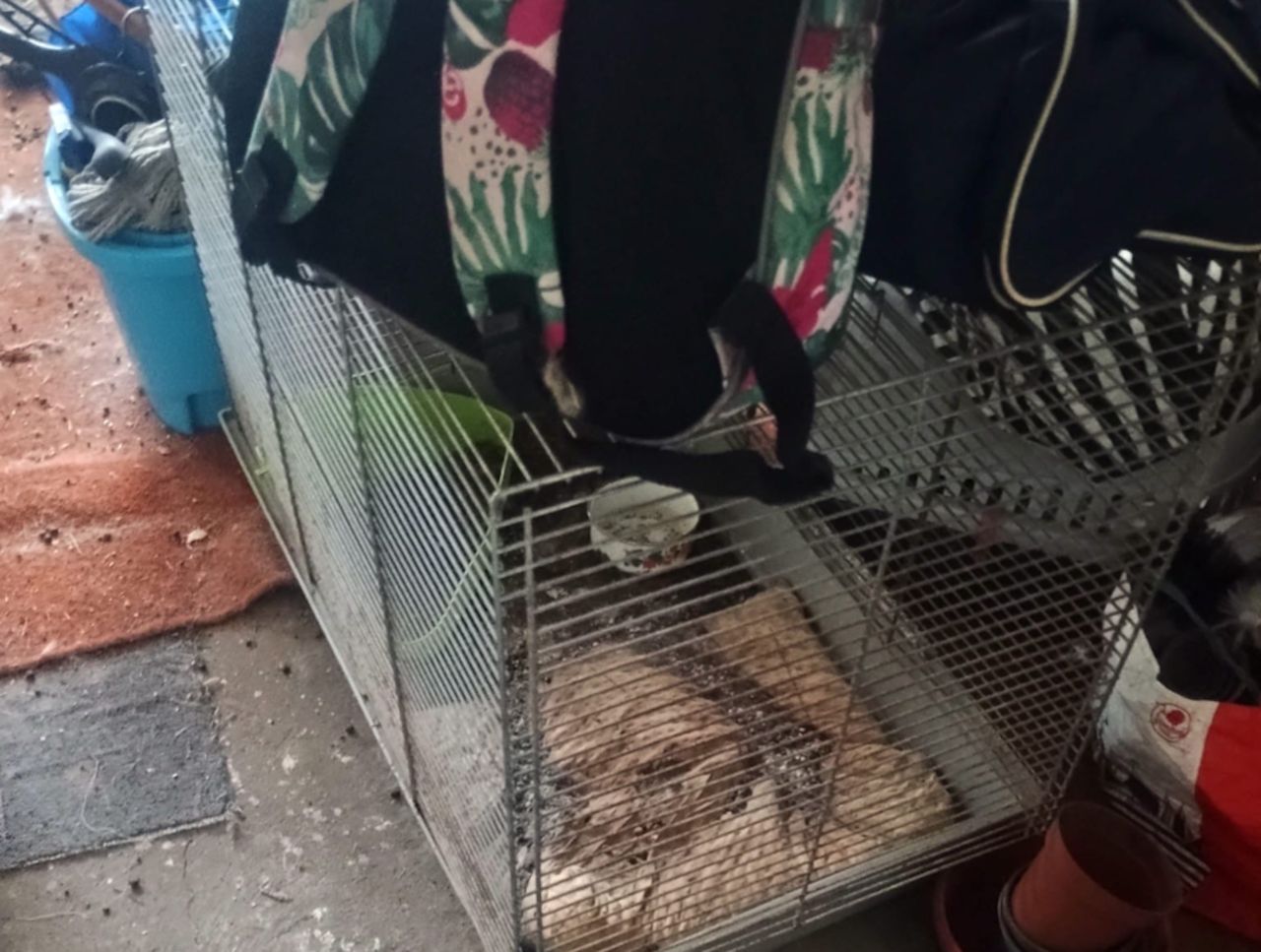 Weszli na poddasze domu w Bukownie. Tak się tłumaczyła kobieta