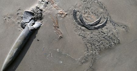 Odnaleziono pabulit. Niesamowite odkrycie archeologiczne w Niemczech