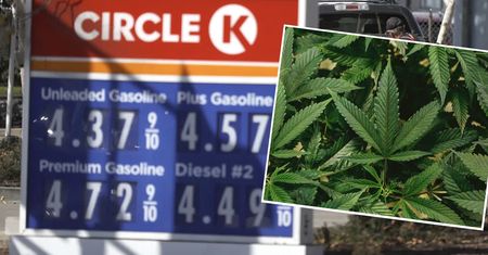 Marihuanę będzie można kupić legalnie na stacjach benzynowych w USA