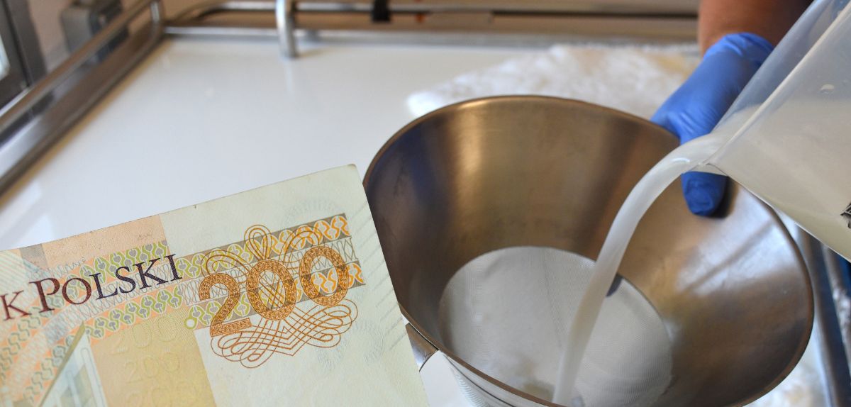 Cena skupu mleka. Dane GUS