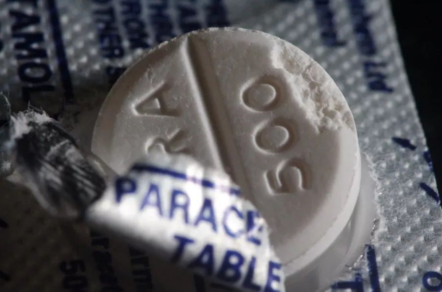 Natura zadziwia. Bakteria przekształca plastikowe odpady w paracetamol
