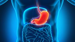 Hormony żołądkowo-jelitowe. Jaką pełnią rolę? 