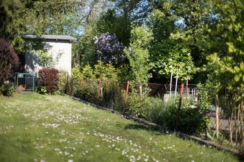 Działka ROD w 2026 roku. Tyle trzeba dziś zapłacić