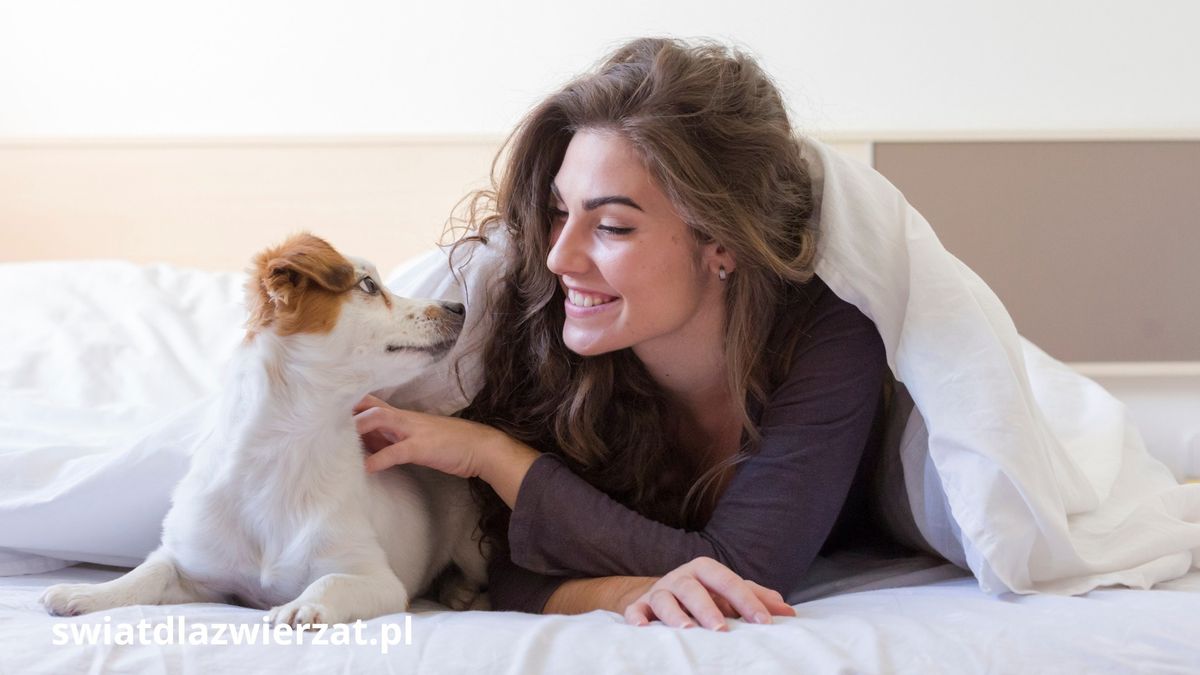 wakacje z psem