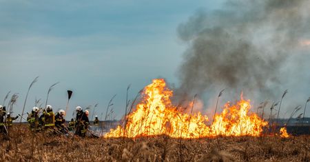 Szef MSWiA o sytuacji na Podlasiu. "Służby gotowe do ewakuacji ludzi"