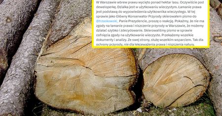 Wycięli ponad hektar lasu na Bielanach. Kto za to odpowie?