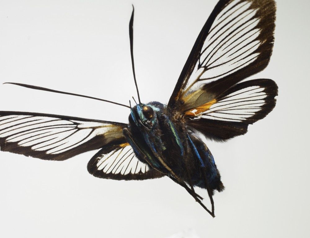 Prix de la Photographie Paris 2014. Polacy wśród nagrodzonych 5