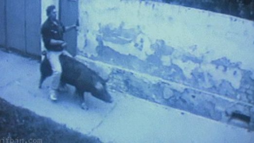 WTF dnia: Rosja to najdziwniejszy kraj na świecie. Te szokujące i prześmieszne GIF-y to potwierdzają 1