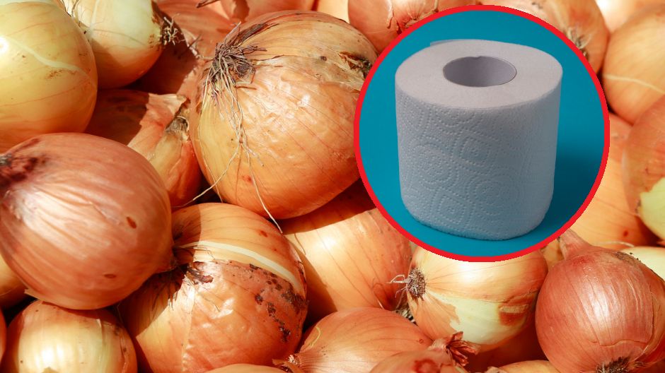 Jak przechowywać cebulę, by nie gniła? Proste triki, które działają