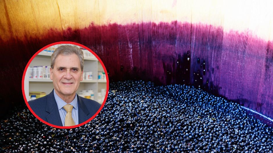 Naukowcy odkryli nieoczekiwane zalety winogron. Warto na stałe wprowadzić je do diety