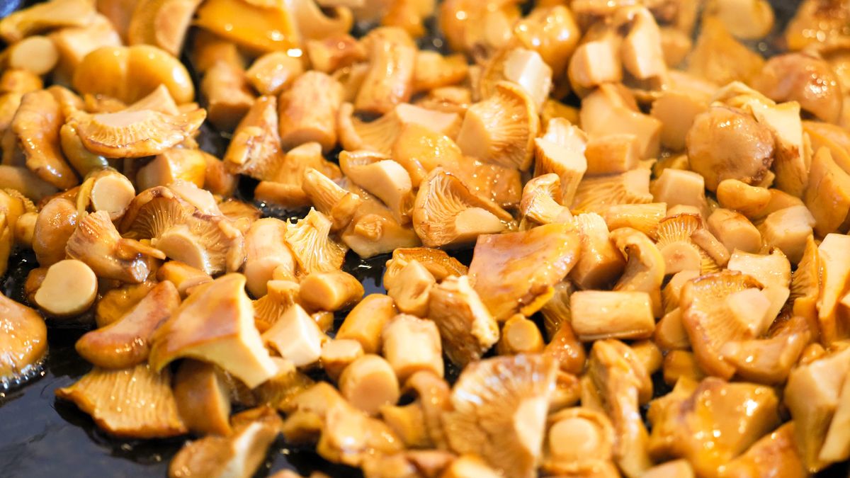 Grzyby to niedocenione źródło zdrowia