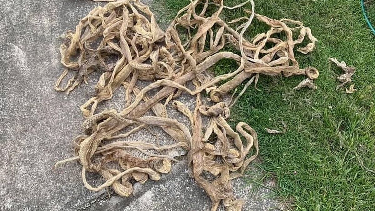 Przerażające znalezisko