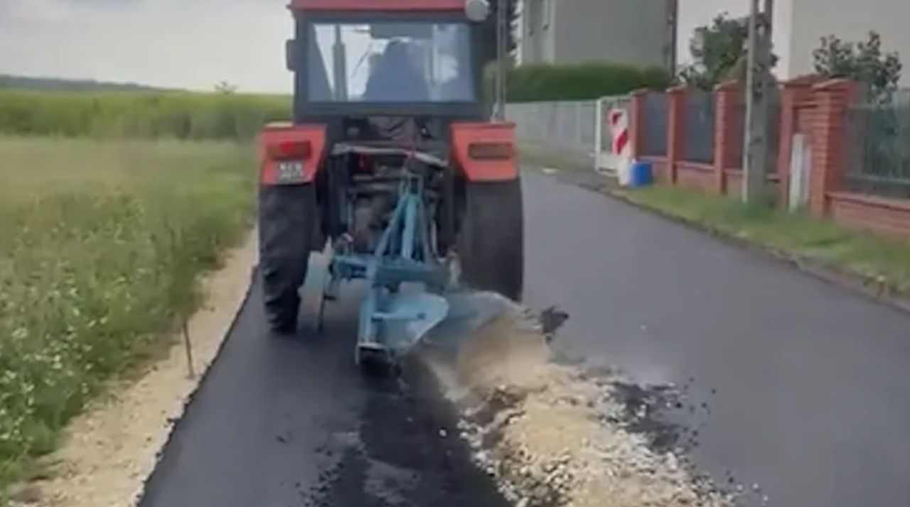 Zaorał asfalt w Gliwicach. Weterynarz przyjechał na posesję rolnika zbadać psa