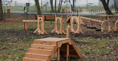 Radny apeluje o budowę trzech wybiegów dla psów w dzielnicach Dziesiąta i Kośminek