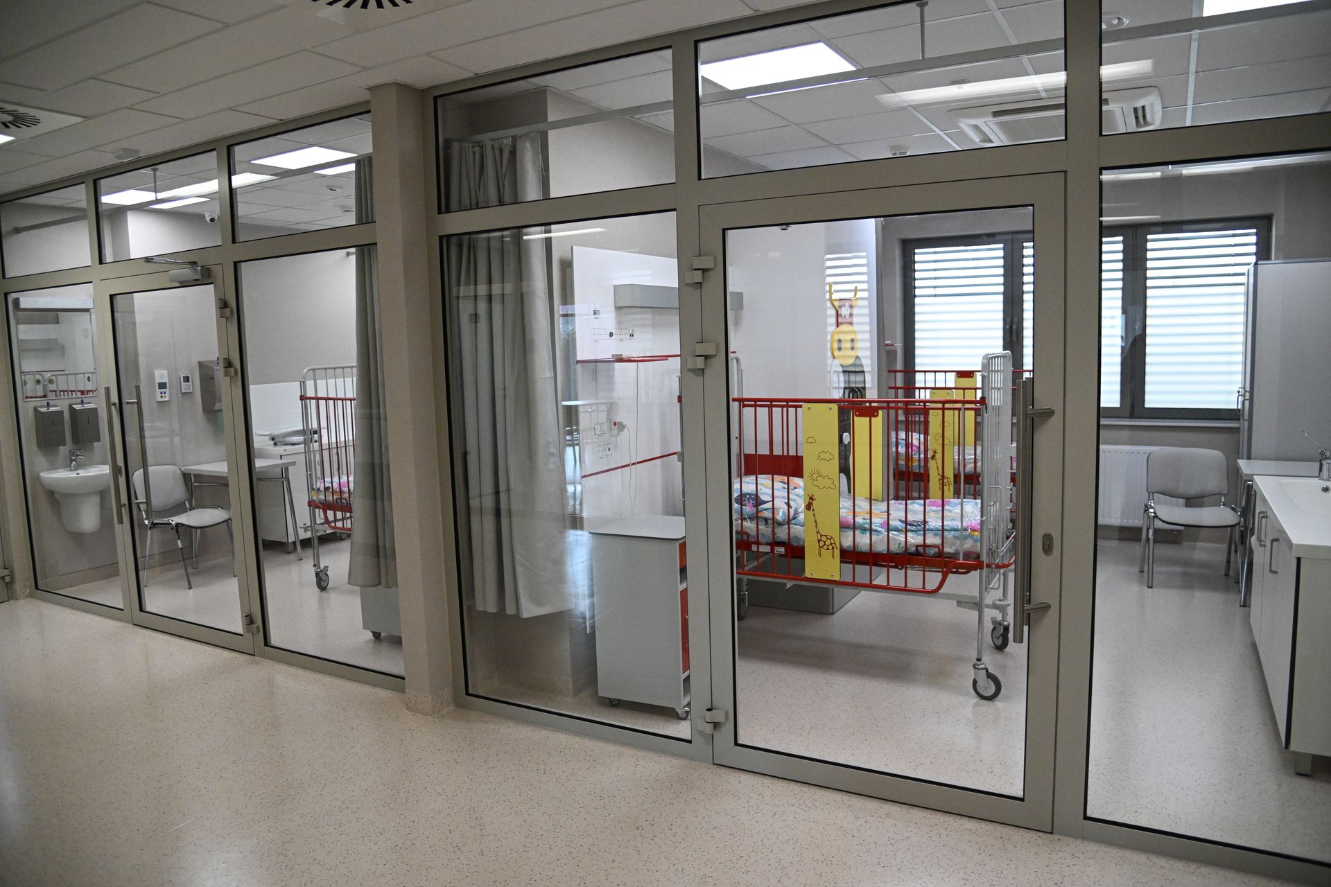 Przypadek cholery w Polsce? Szef GIS potwierdza, lekarze mówią o bakterii