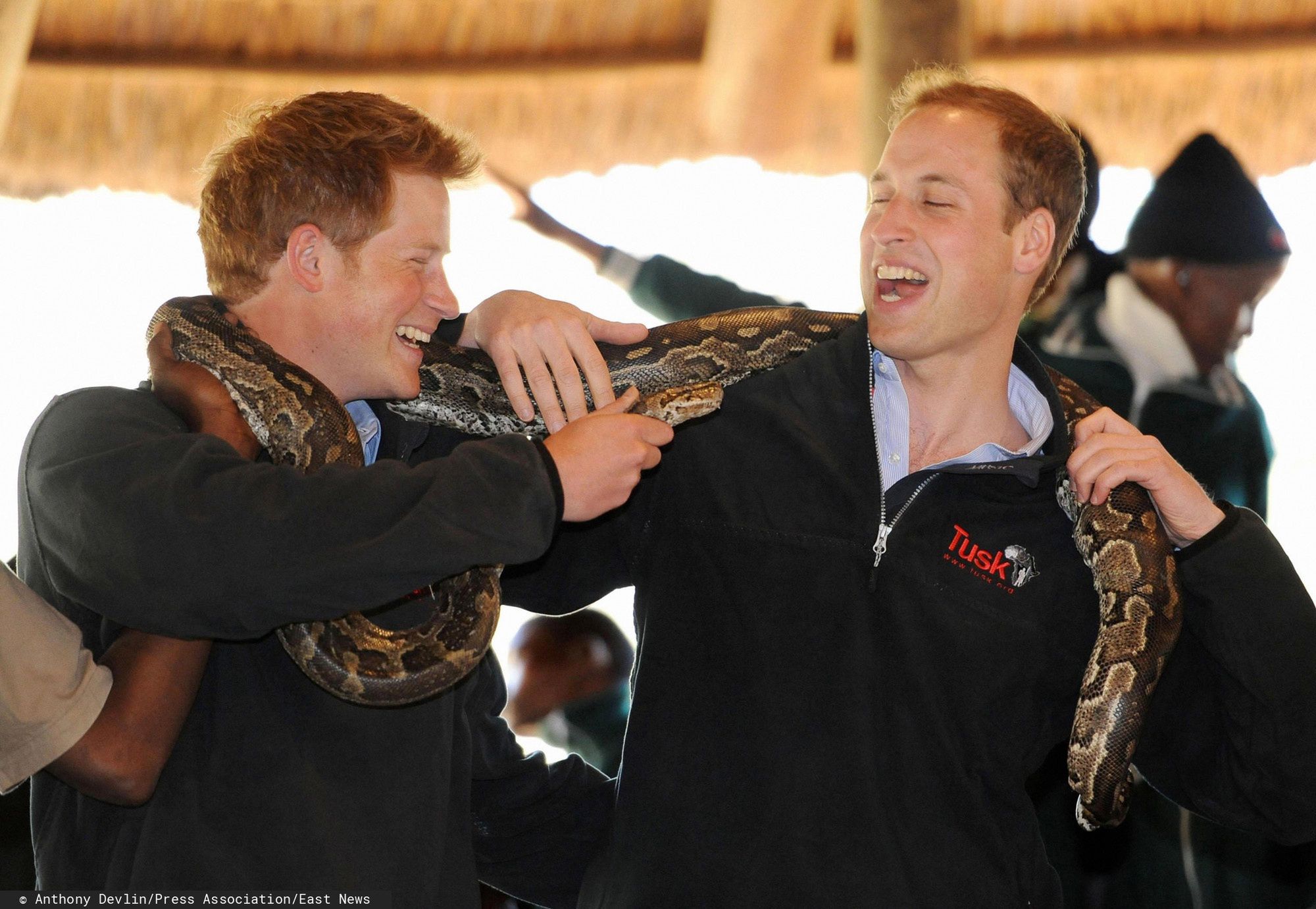 Harry i książę William