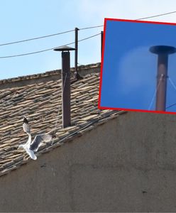 Pomyłka w Watykanie. Przez chwilę zobaczyli biały dym