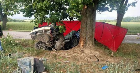 BMW roztrzaskało się na drzewie. Nie żyje młody mężczyzna