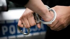policja