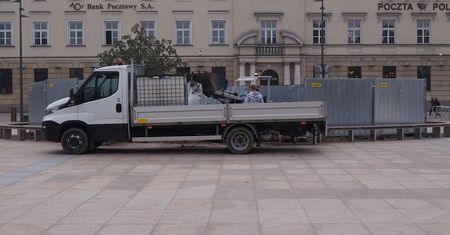 Dziś posadzą nowego "baobaba" na pl. Litewskim
