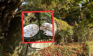 Przypadkowe odkrycie w Poznaniu. Leżały w ziemi od 1945 r.