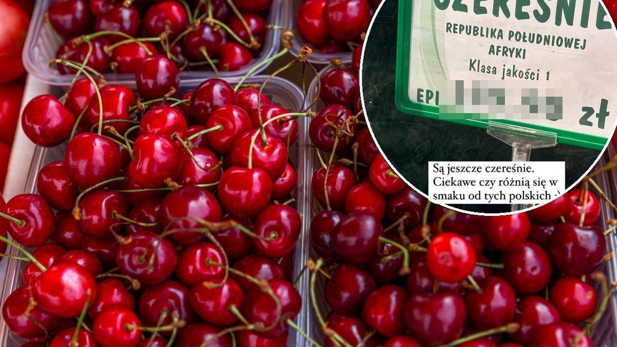 Cena czereśni w markecie/Magdalena Kostyszyn