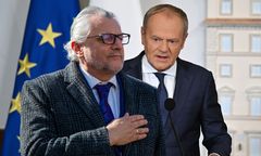 Strusia polityka KO [OPINIA]
