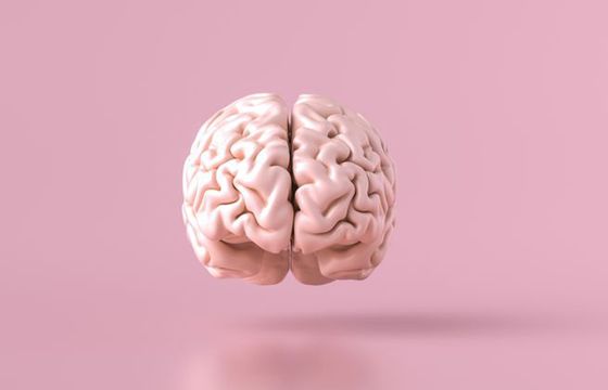 Izolacja społeczna związana z mniejszą objętością mózgu u seniorów