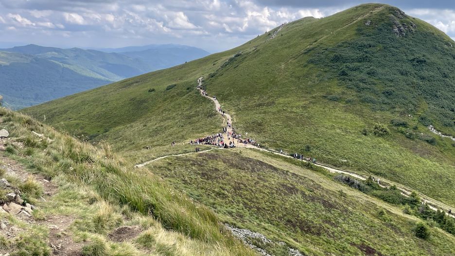 W Bieszczadach rzadko zdarza się taki widok