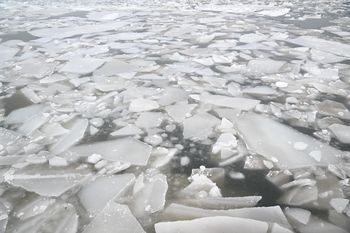 Niebezpieczne zachowanie na Bałtyku. Dziecko chodziło po krach
