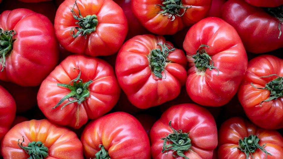 Mazowieckie. Mężczyzna ukradł 600 kg pomidorów