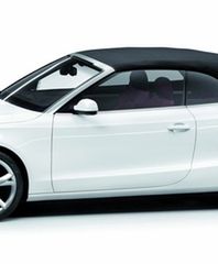 Emocje pod gołym niebem