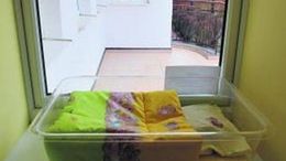 Z &#8222;okna życia&#8221; w Poznaniu nikt do tej pory nie skorzystał