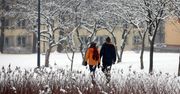 U jednych mróz, u drugich nawet 7 stopni. Prognoza pogody na najbliższe dni
