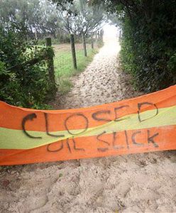 Zanieczyszczone ropą plaże uznano za strefę klęski