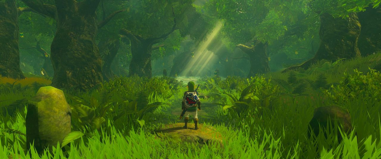 Pograłbym w TAK wyglądające Breath Of The Wild. Na emulatorze na PC