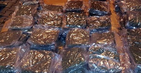 Sukces stołecznej policji. Udaremniono przemyt marihuany wartej prawie 3 mln zł