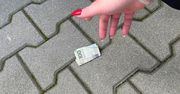 Nie daj się oskubać i nigdy nie podnoś banknotów z ziemi. To bezpardonowy podstęp