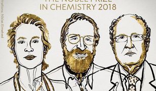 Nagroda Nobla w dziedzinie chemii przyznana