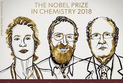 Nagroda Nobla w dziedzinie chemii przyznana
