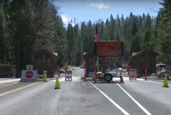 Amerykanie są na kwarantannie. W Parku Narodowym Yosemite widać coraz więcej zwierząt