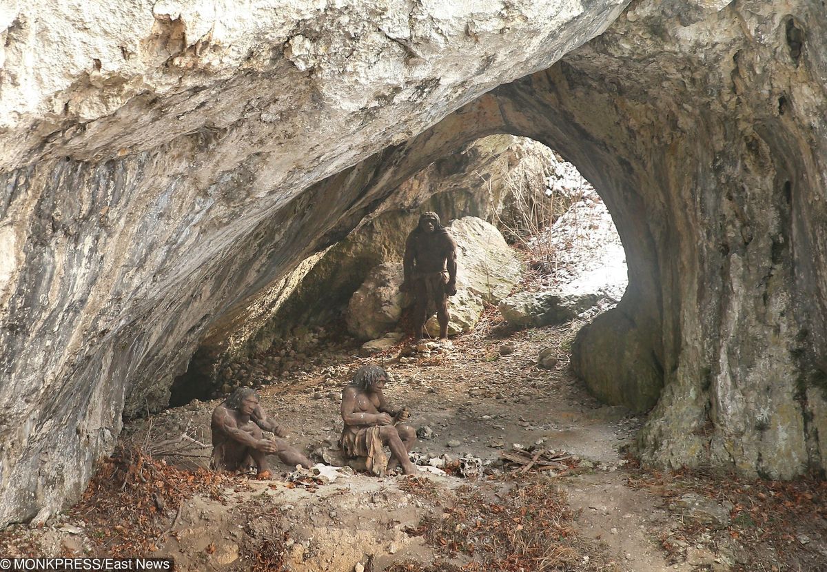 Małopolska: w Jaskini Ciemnej odkryto najstarsze szczątki człowieka w Polsce. Mają ponad 100 tys. lat