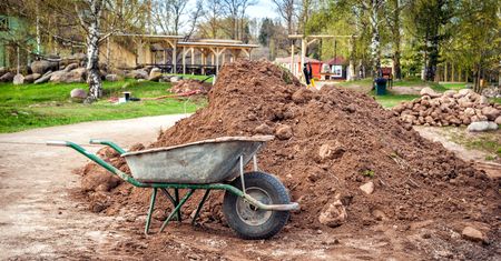 Ogród skrywał szokującą tajemnicę. Właściciel przeżył wstrząs