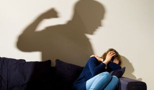 Nie bój się psa, który szczeka. Kuratorzy sądowi, szeryfowie Polski D