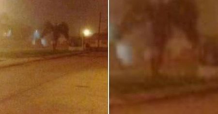 Anioł czy demon? Internauci nie wiedzą, co myśleć