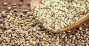 Nasiona hemp - najzdrowsze nasionka świata