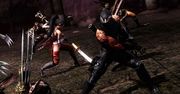 Ninja po raz trzeci [Galeria]