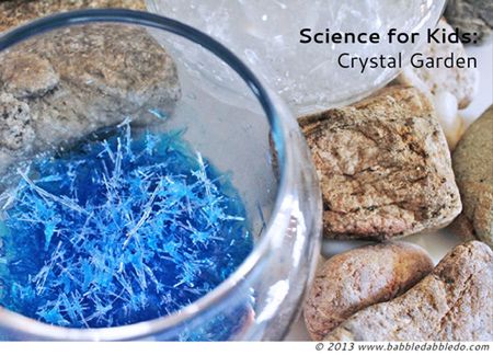 Growing a Crystal Garden