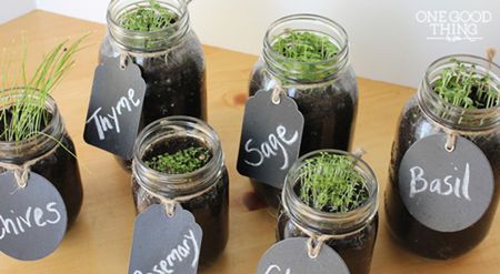 Mason Jar Herb Garden